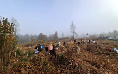 NARAVOSLOVNI DAN: POGOZDOVANJE